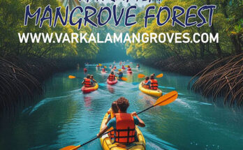 how to reach varkala mangrove forest kayaking